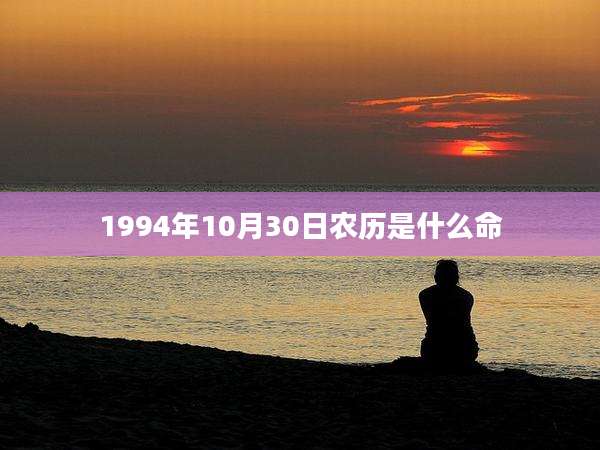 1994年10月30日农历是什么命