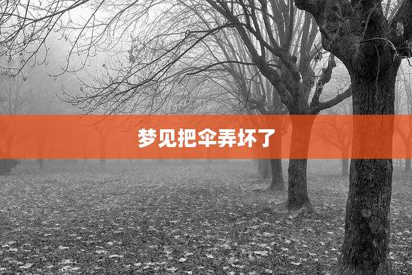 梦见把伞弄坏了