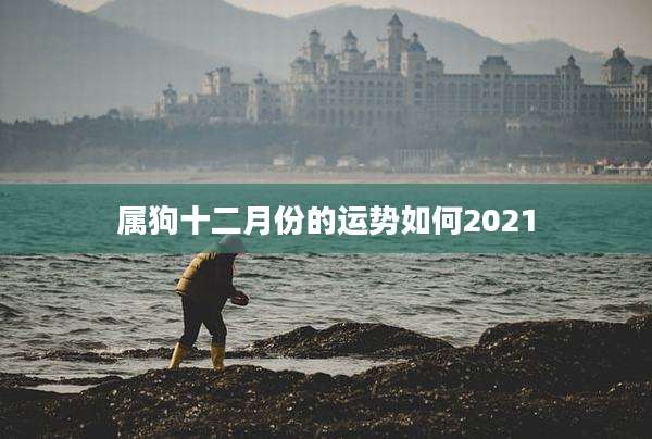 属狗十二月份的运势如何2021