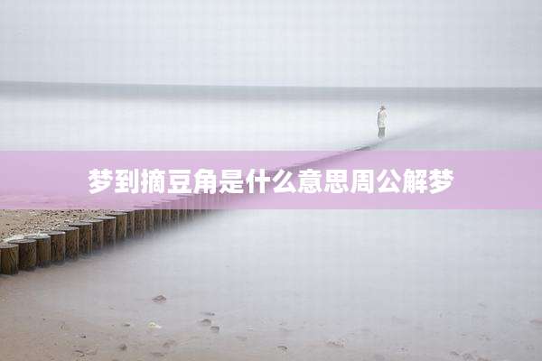 梦到摘豆角是什么意思周公解梦