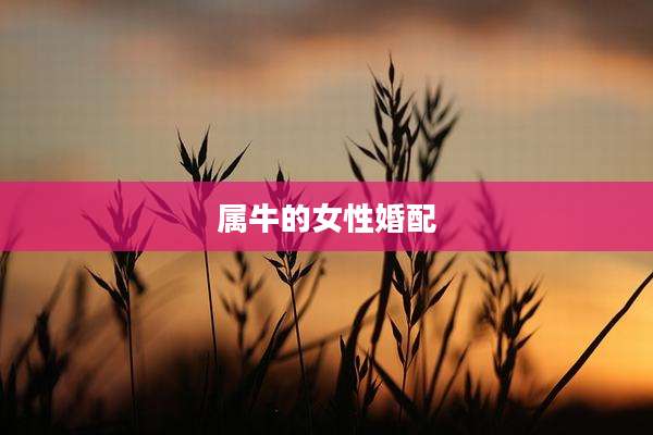 属牛的女性婚配