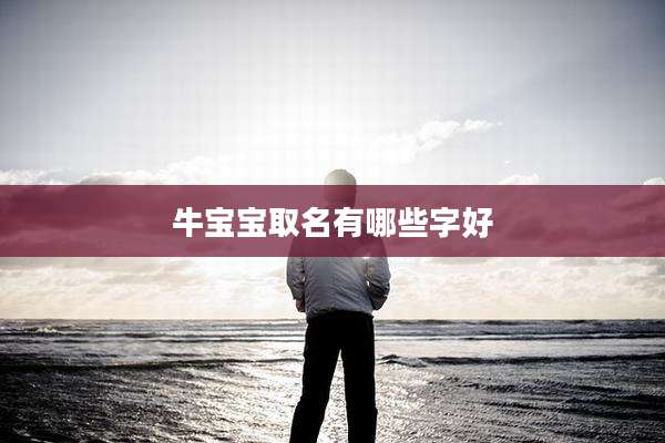 牛宝宝取名有哪些字好