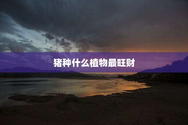猪种什么植物最旺财