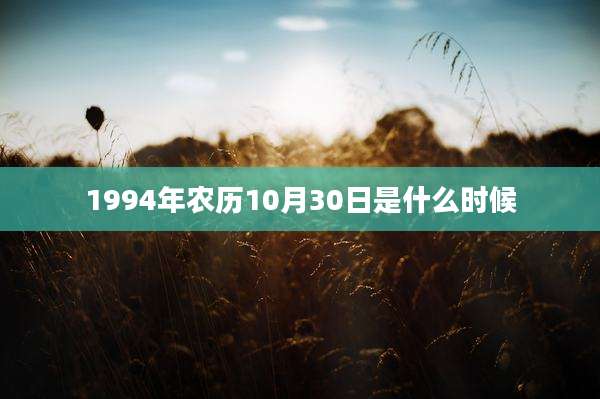 1994年农历10月30日是什么时候