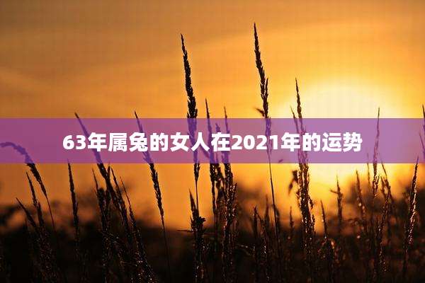 63年属兔的女人在2021年的运势