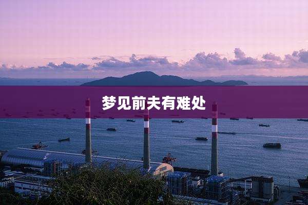 梦见前夫有难处