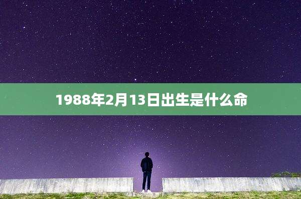 1988年2月13日出生是什么命