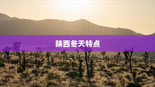 陕西冬天特点