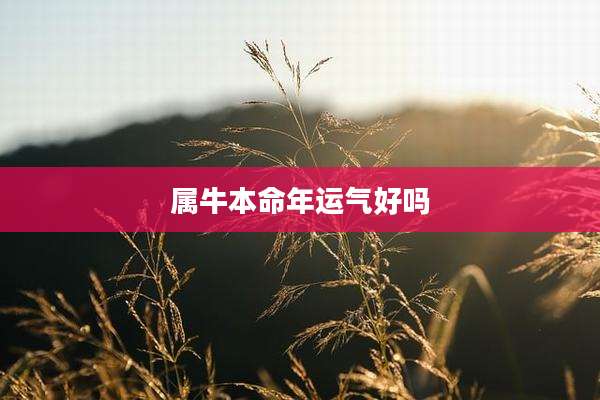 属牛本命年运气好吗