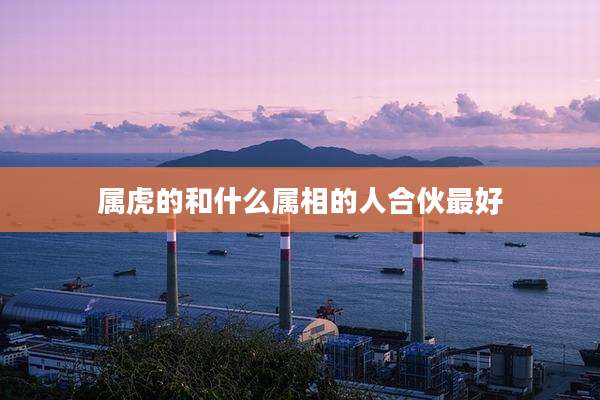属虎的和什么属相的人合伙最好