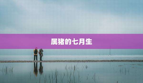 属猪的七月生