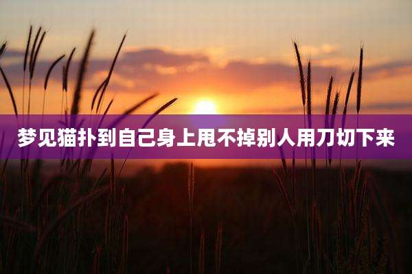 梦见猫扑到自己身上甩不掉别人用刀切下来