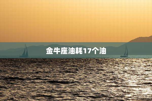 金牛座油耗17个油