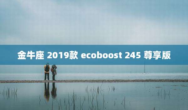 金牛座 2019款 ecoboost 245 尊享版