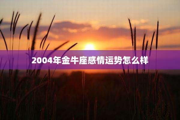 2004年金牛座感情运势怎么样
