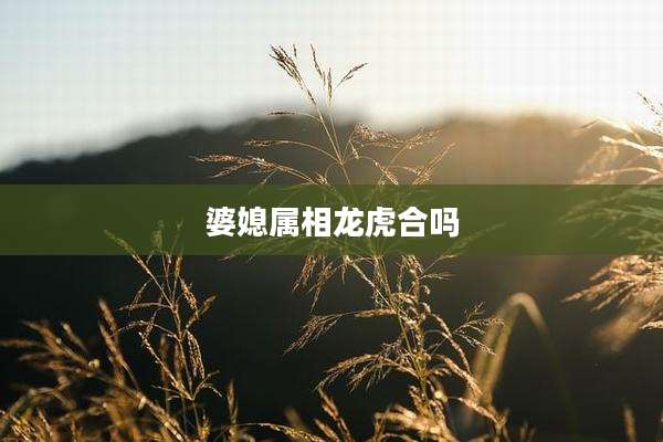 婆媳属相龙虎合吗