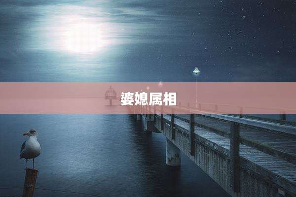 婆媳属相