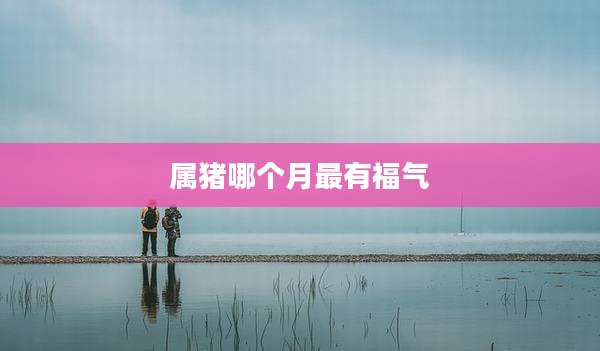 属猪哪个月最有福气