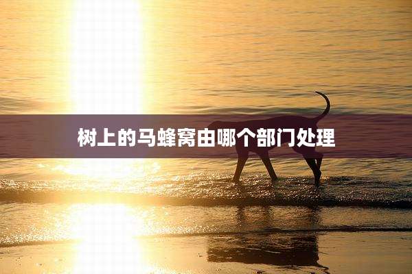 树上的马蜂窝由哪个部门处理