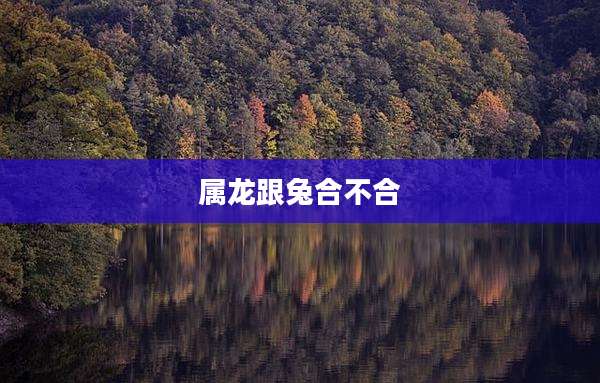 属龙跟兔合不合