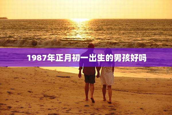 1987年正月初一出生的男孩好吗