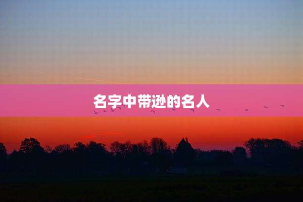 名字中带逊的名人