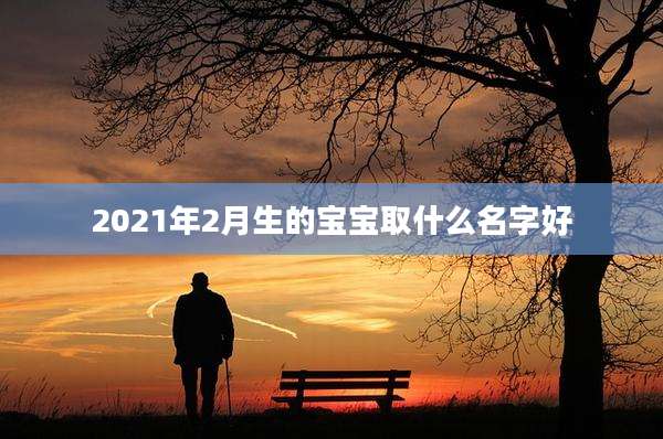 2021年2月生的宝宝取什么名字好