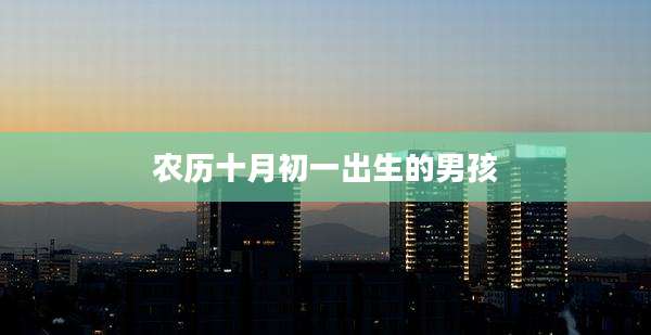 农历十月初一出生的男孩