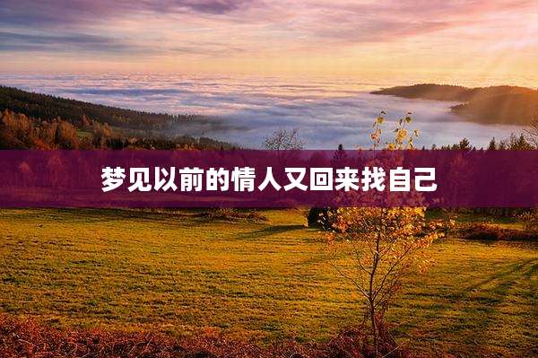 梦见以前的情人又回来找自己