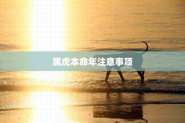 属虎本命年注意事项