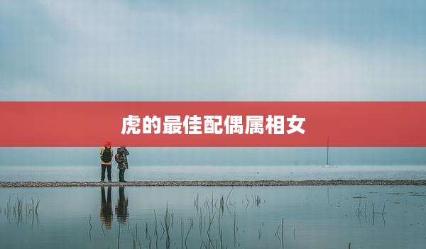 虎的最佳配偶属相女