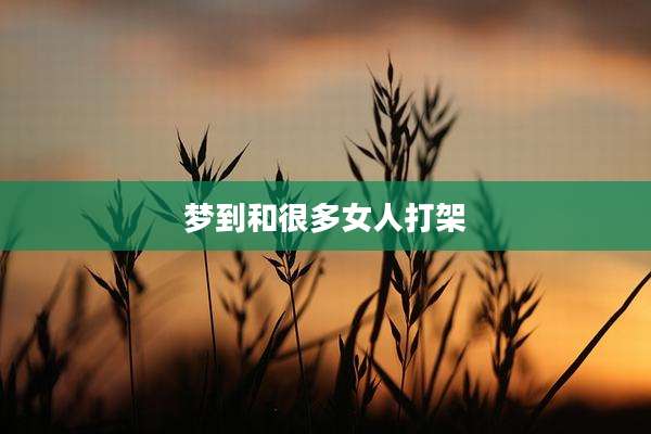 梦到和很多女人打架