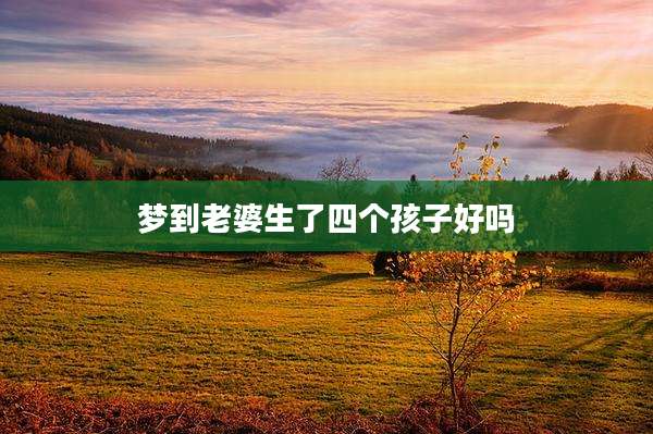梦到老婆生了四个孩子好吗