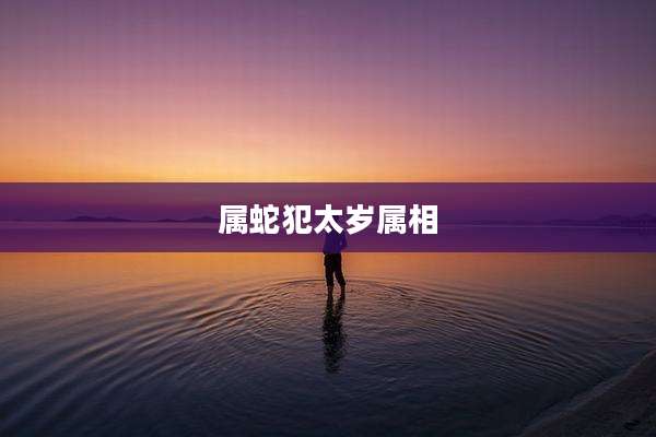 属蛇犯太岁属相