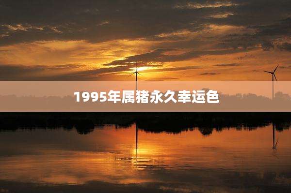 1995年属猪永久幸运色