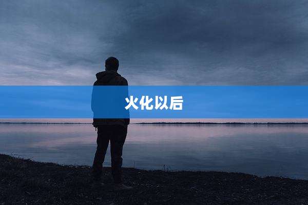 火化以后