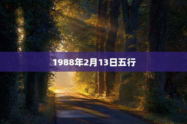 1988年2月13日五行
