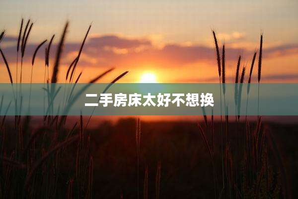 二手房床太好不想换