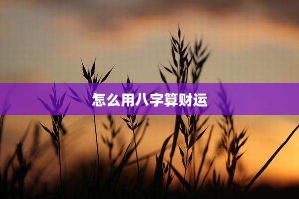 怎么用八字算财运