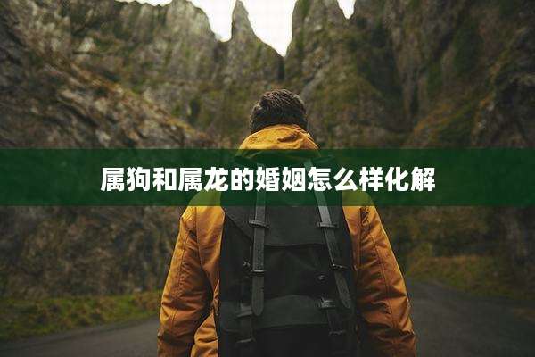 属狗和属龙的婚姻怎么样化解