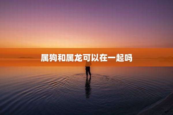 属狗和属龙可以在一起吗