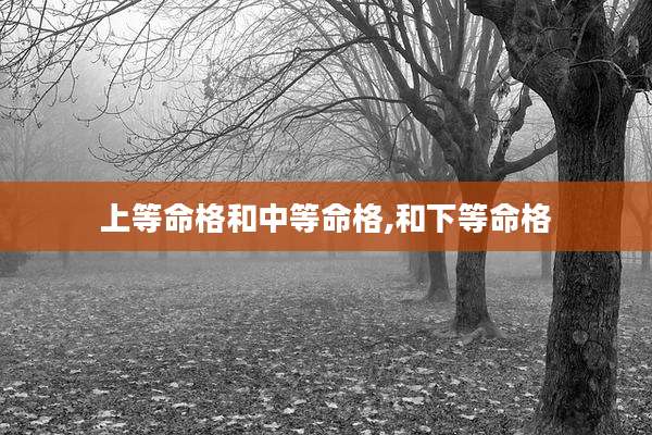 上等命格和中等命格,和下等命格