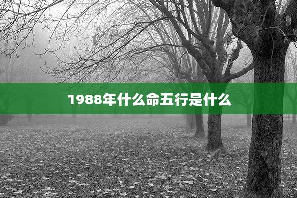 1988年什么命五行是什么