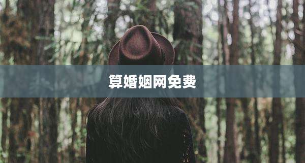 算婚姻网免费