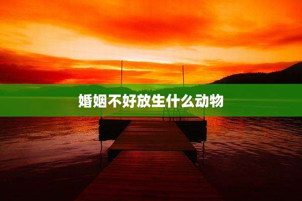 婚姻不好放生什么动物