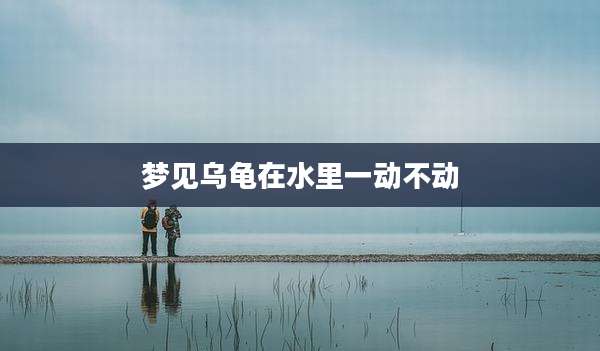 梦见乌龟在水里一动不动