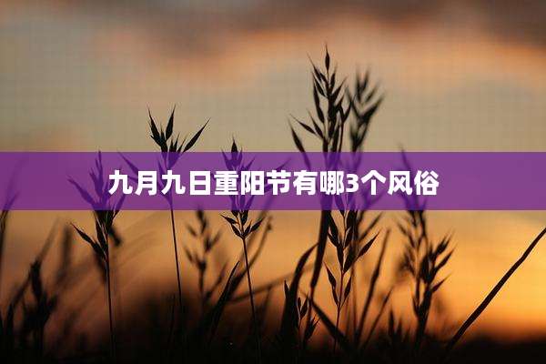 九月九日重阳节有哪3个风俗