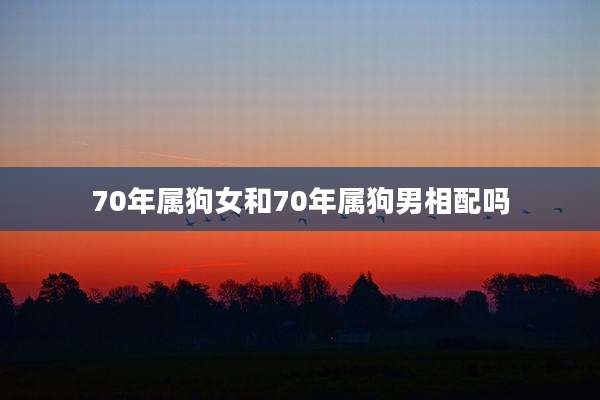 70年属狗女和70年属狗男相配吗