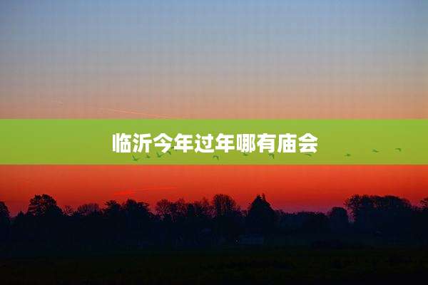 临沂今年过年哪有庙会