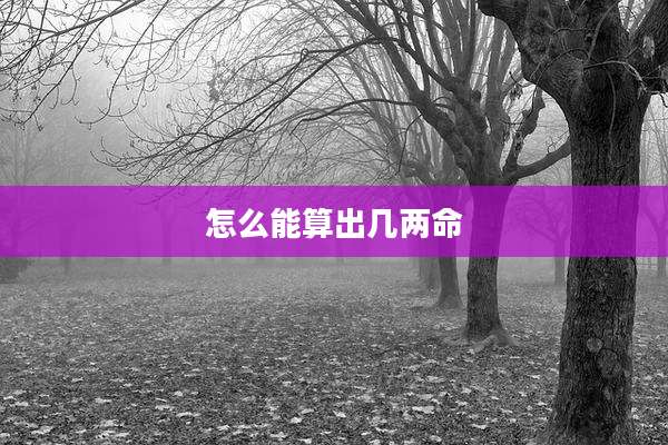 怎么能算出几两命